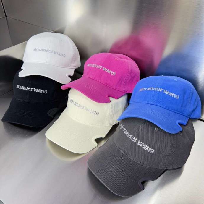 Picture of Alexander Wang Cap _SKUAlexanderWangCapdxn0718